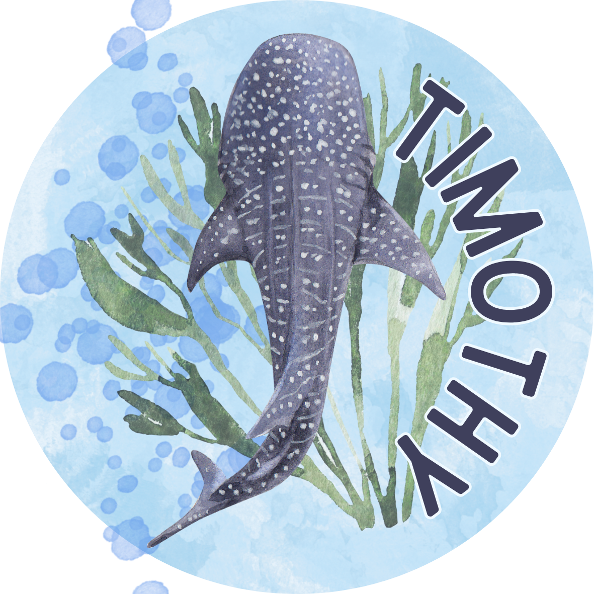 Whale Shark